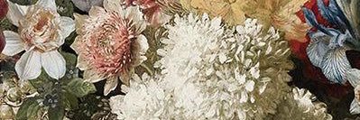 MadySnyd's profile banner image