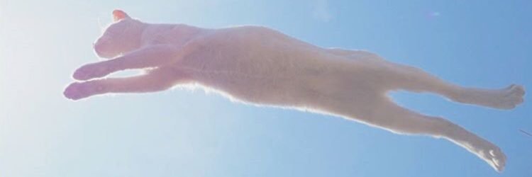 CSunipan's profile banner image