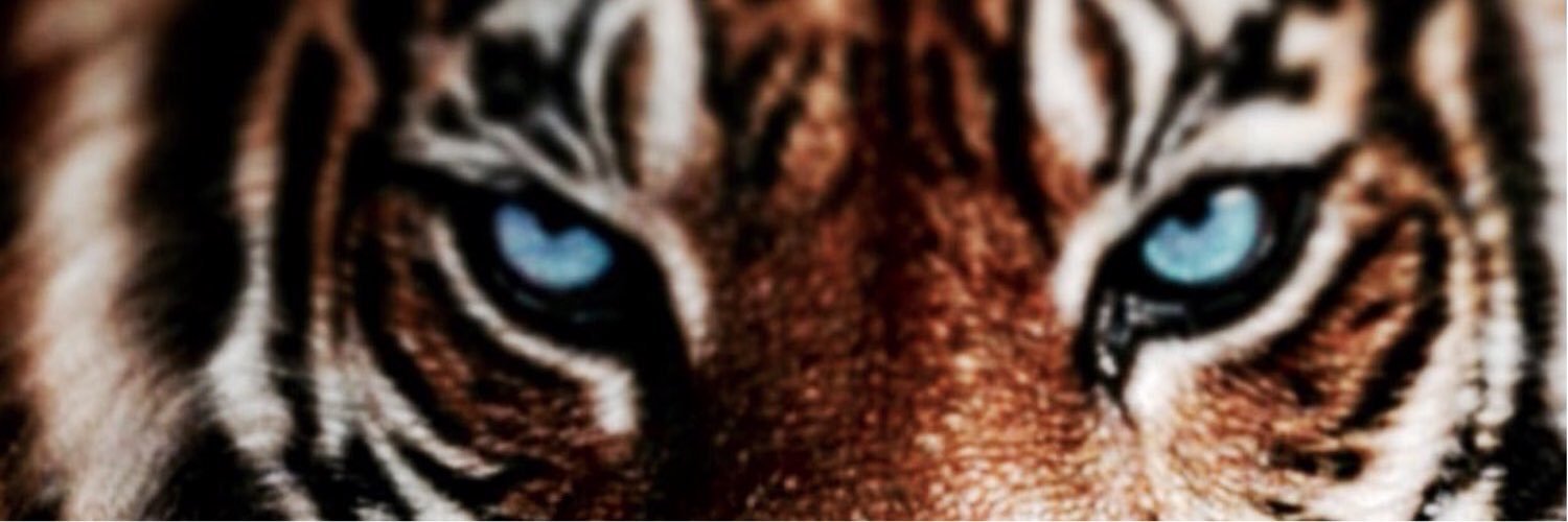 kendrick_lavar's profile banner image