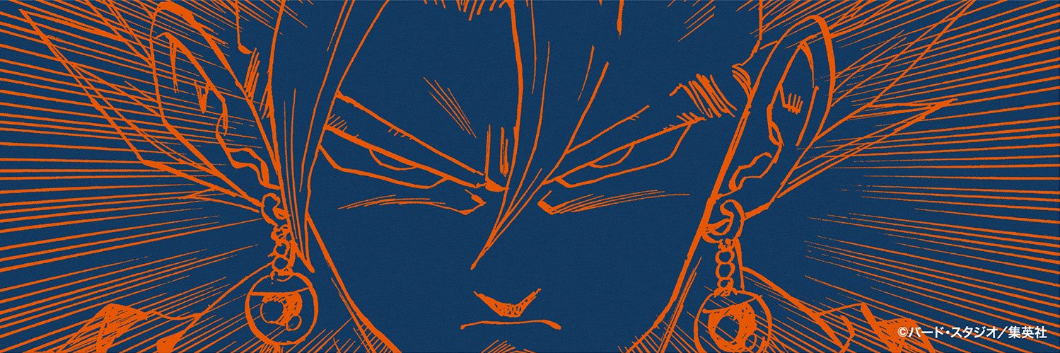 syu_bdgm's profile banner image
