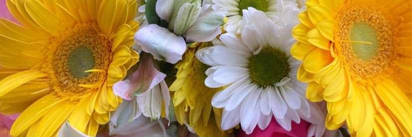 daniellehawk_'s profile banner image