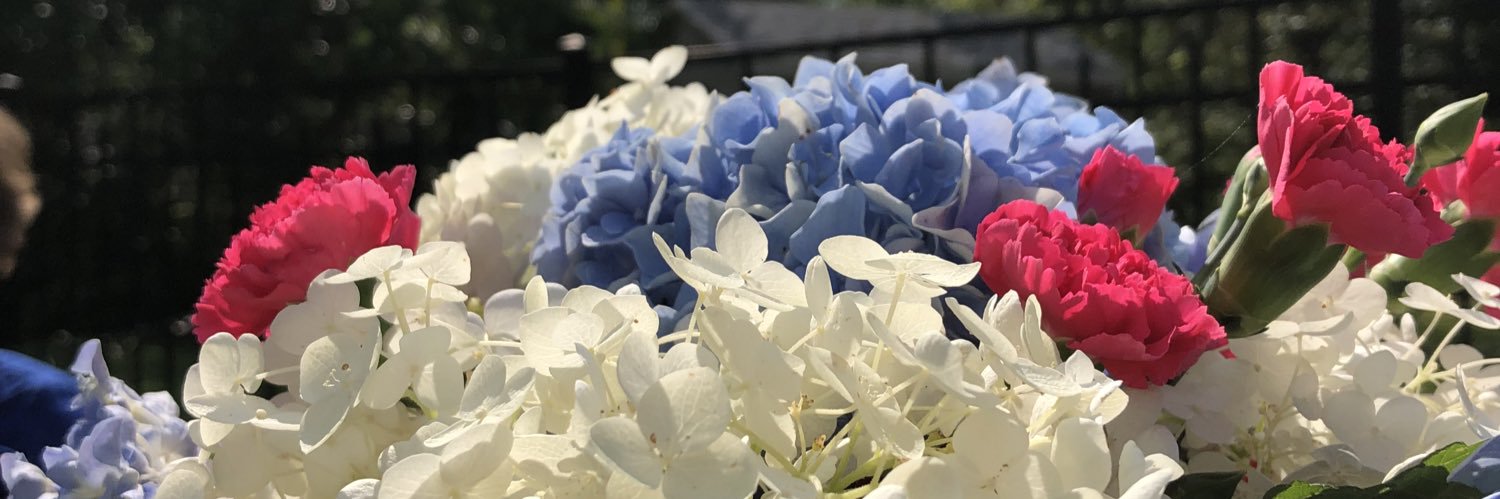 JenStroup's profile banner image