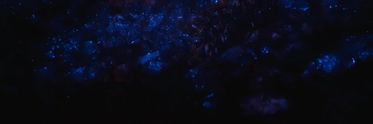 VICEFAIRY7's profile banner image