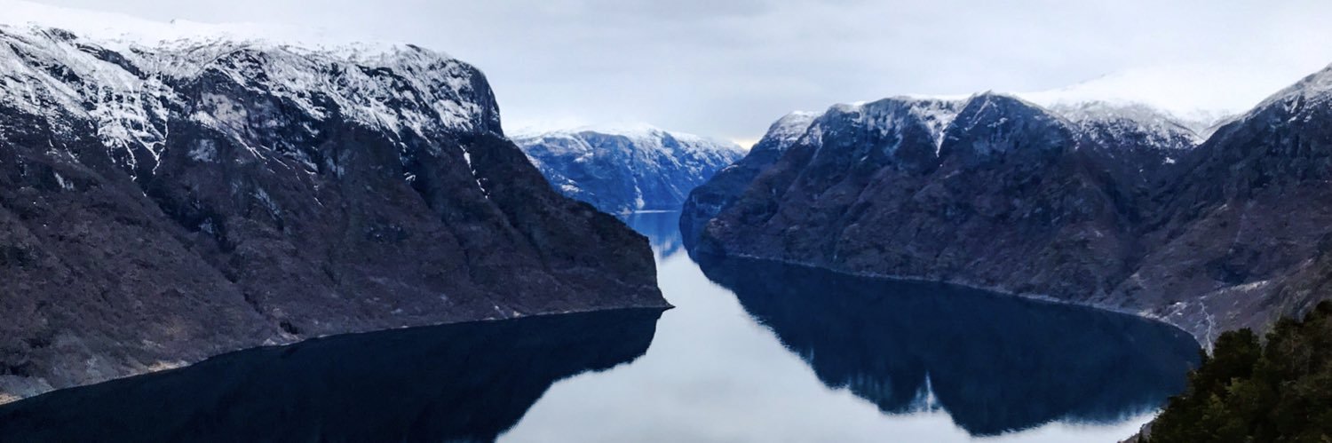 AmandarinSawit's profile banner image
