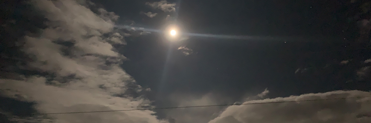 MFP4073 Tarmac Mtg. Media & Politicians are Liars banner