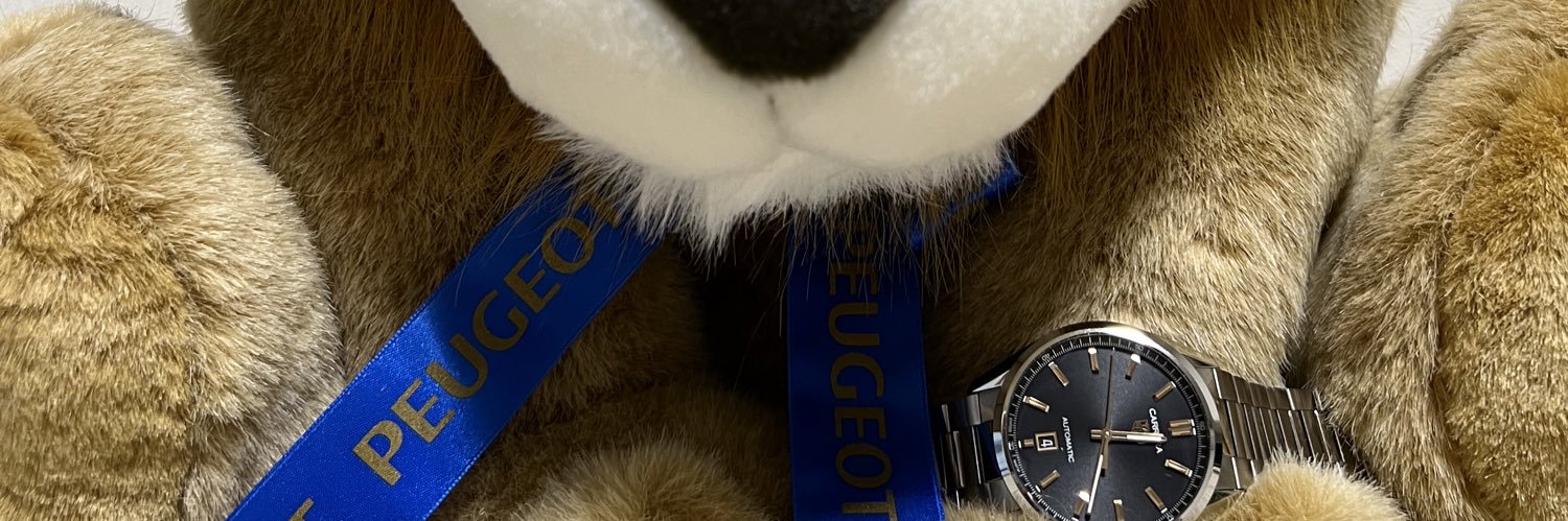 BurstFrog's profile banner image