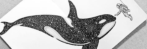 HelloStarlight4's profile banner image