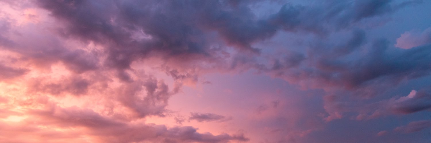 🐹 banner