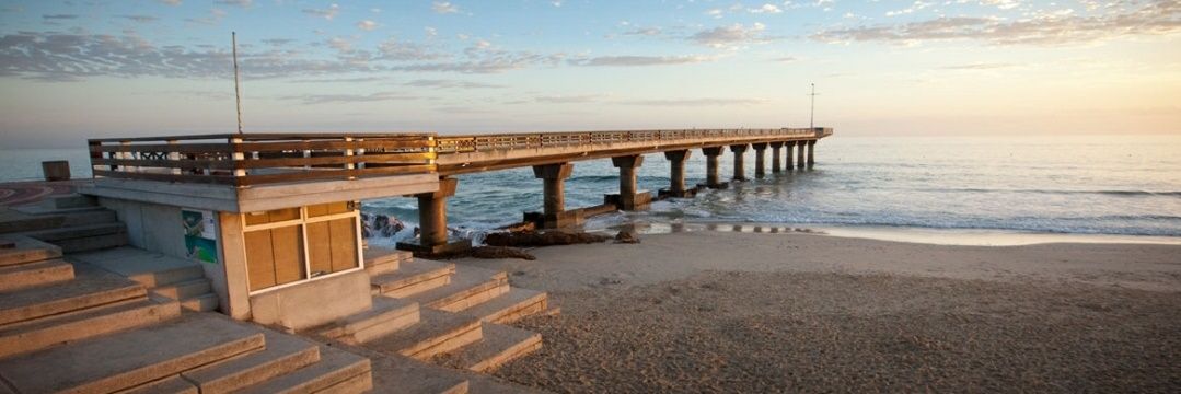 💙 Gqeberha banner