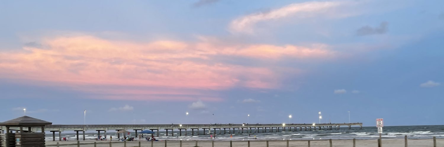 avereecurry's profile banner image