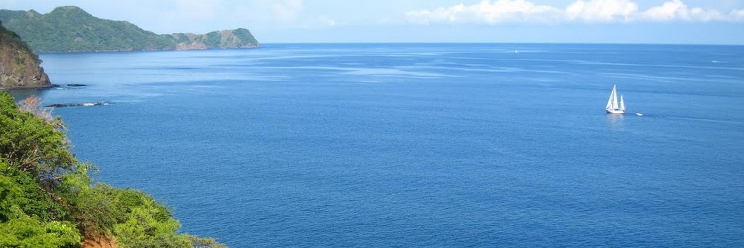 SeaBirdCR's profile banner image