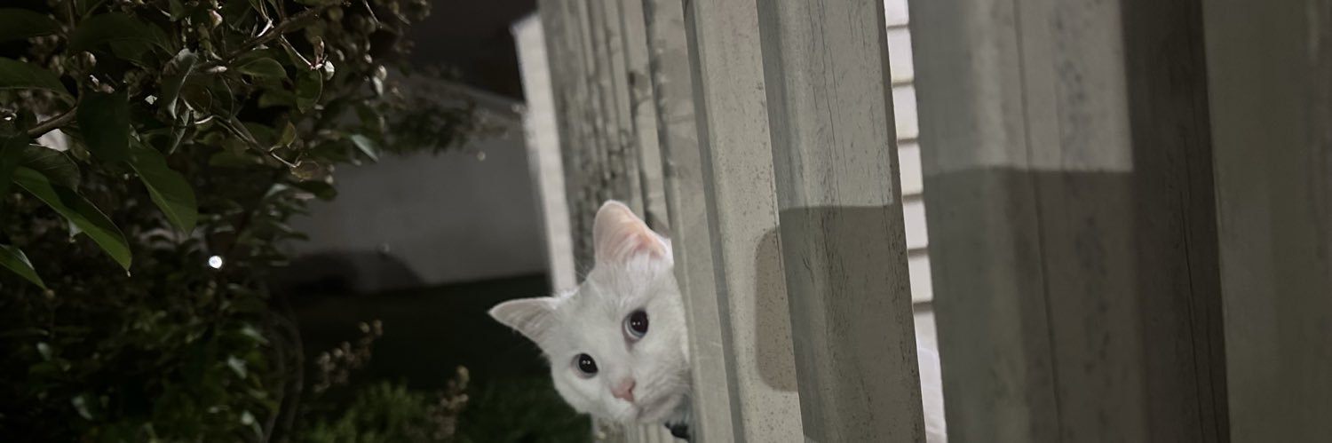 KateJako's profile banner image