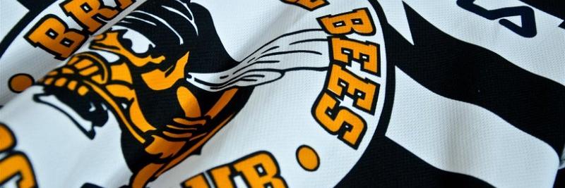 Bees_Legends's profile banner image