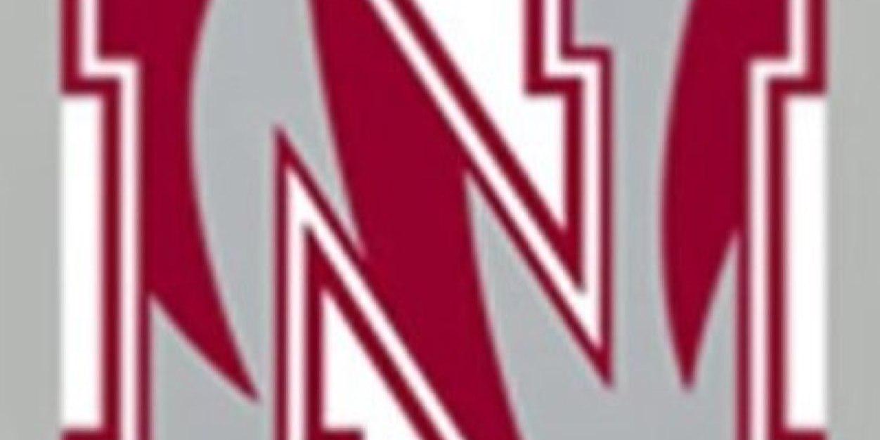 Nevada HS (MO) VBall banner