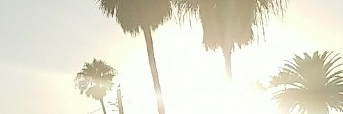 Buckwheat412's profile banner image