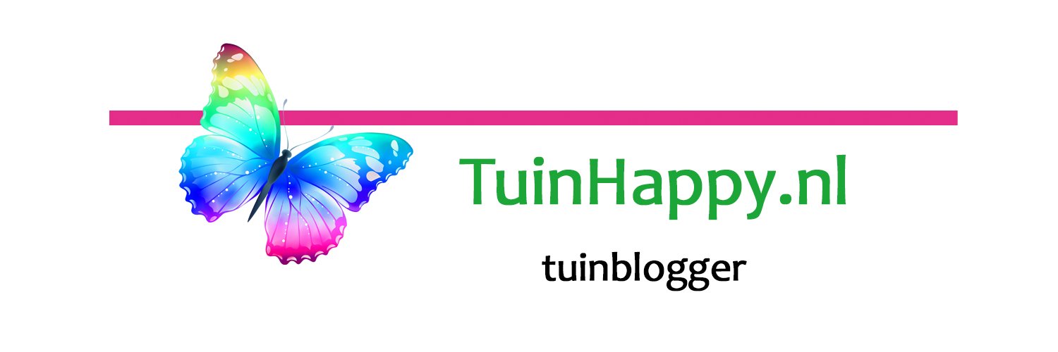 Tuinhappy's profile banner image