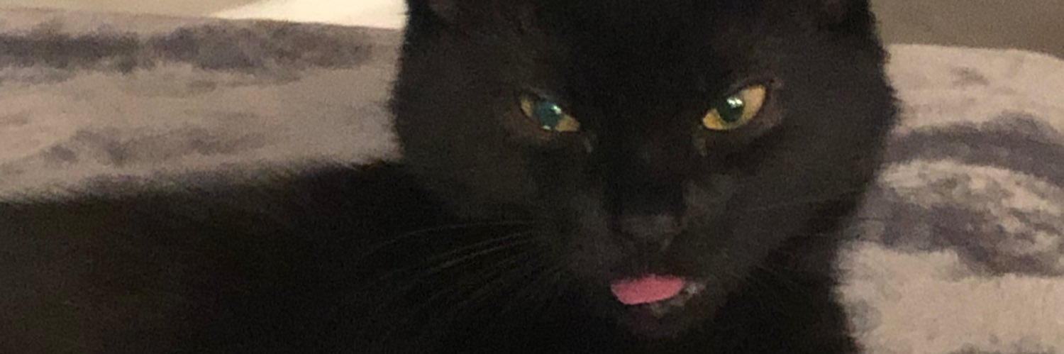 wssamuelson's profile banner image
