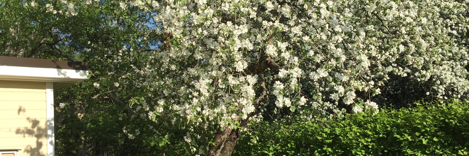 HenniSeppala's profile banner image