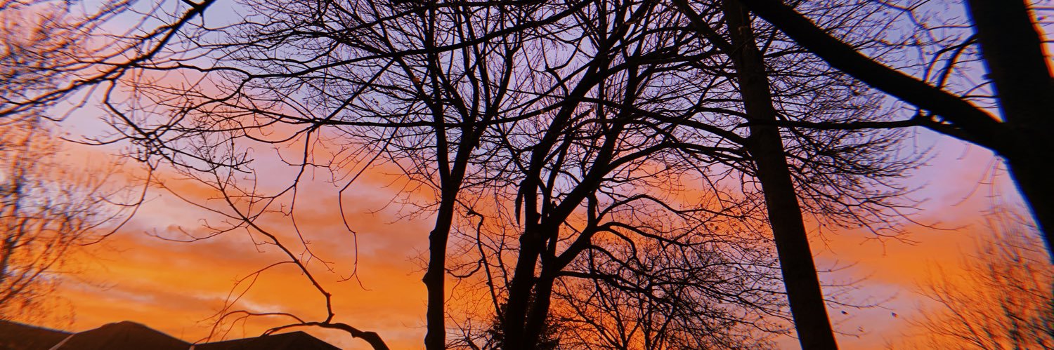 cghealey's profile banner image