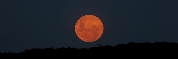 Moises__04 Profile Banner