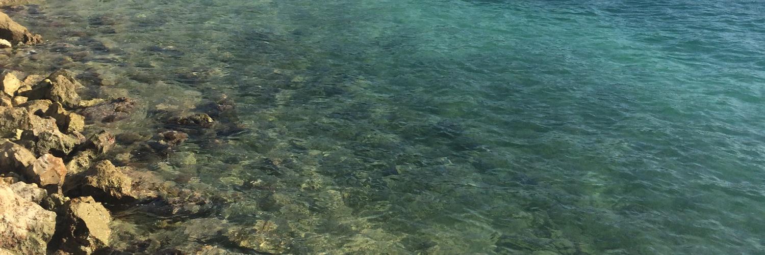fee_leigh's profile banner image