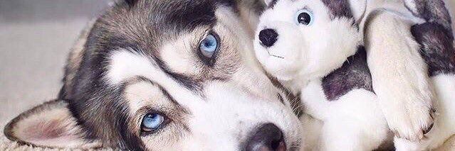 ____Annaa_'s profile banner image