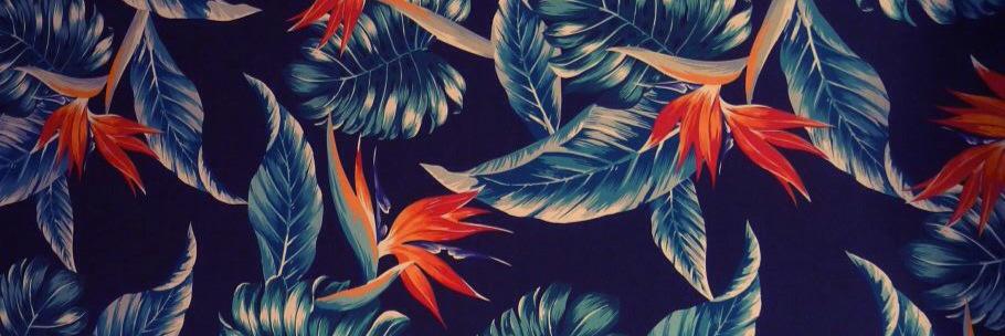 TAlmeraz's profile banner image
