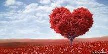 t58150436's profile banner image
