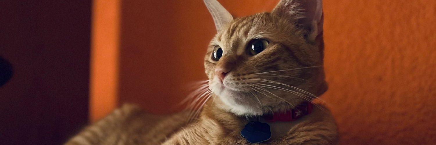 castrojd_7's profile banner image