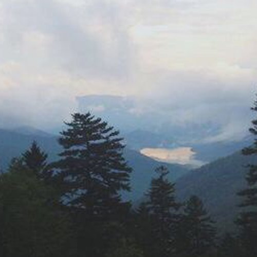 AnnabelRed's profile banner image