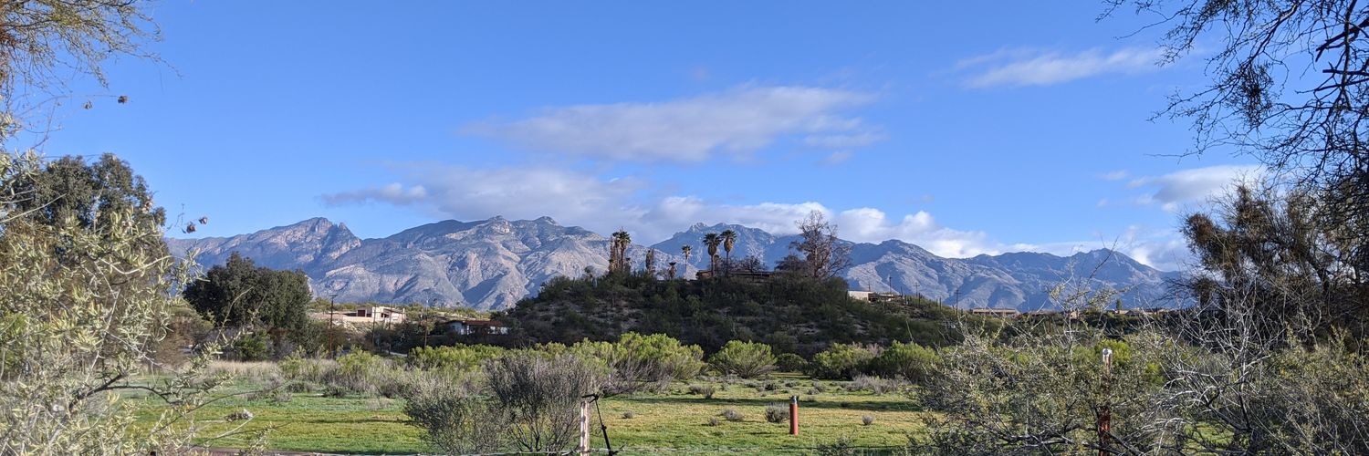 Coffee with Syl banner