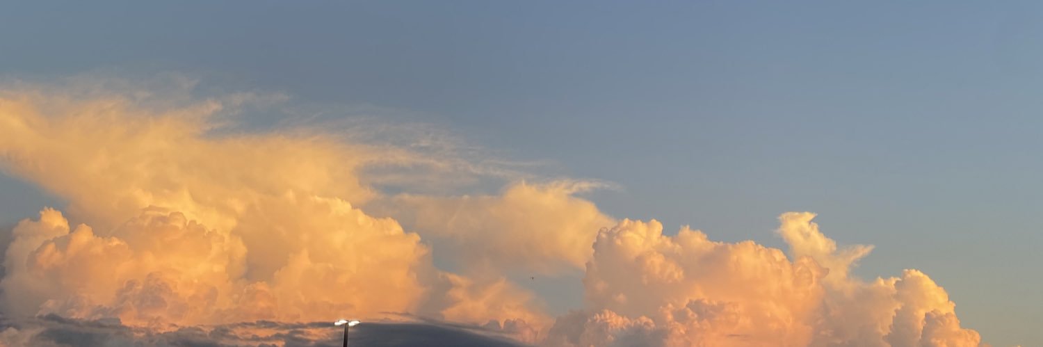 zummersummer's profile banner image