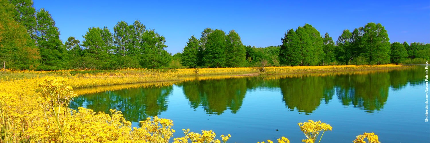 Environment Illinois banner