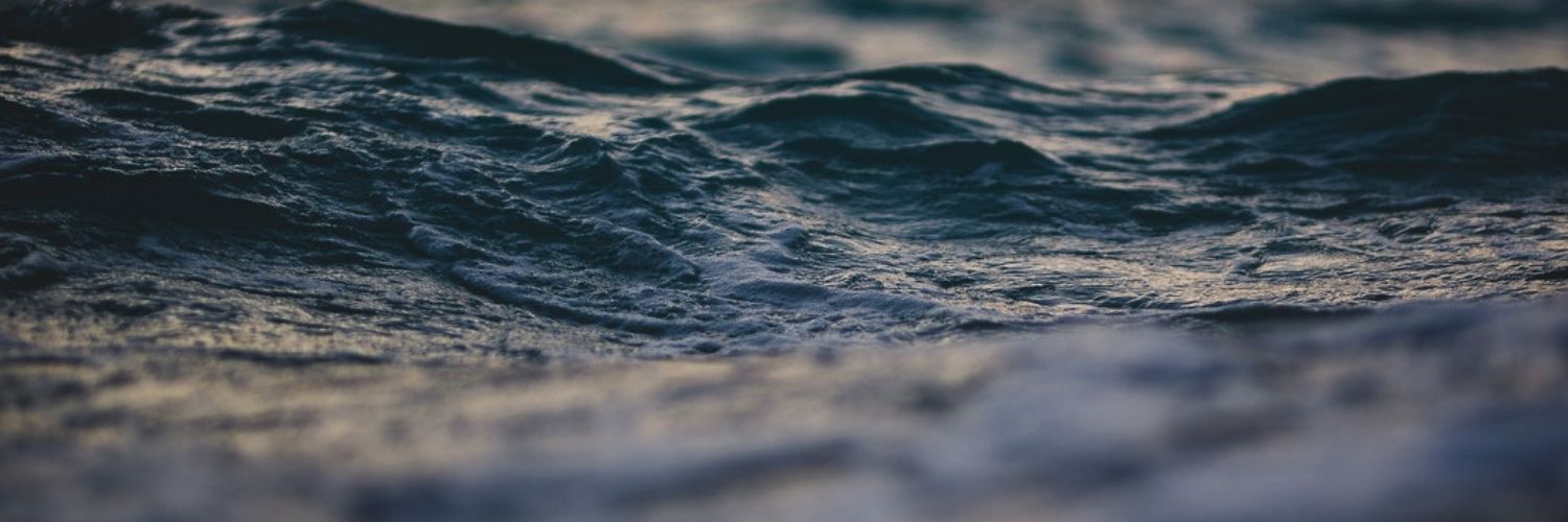 Lalechuga98's profile banner image