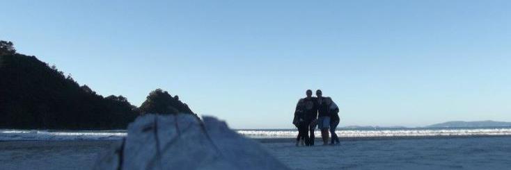 Stu Pickering banner