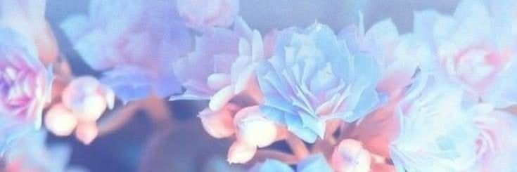Sandry18_'s profile banner image