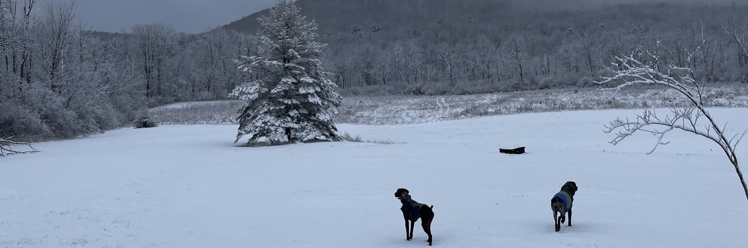 LeoneAubree's profile banner image