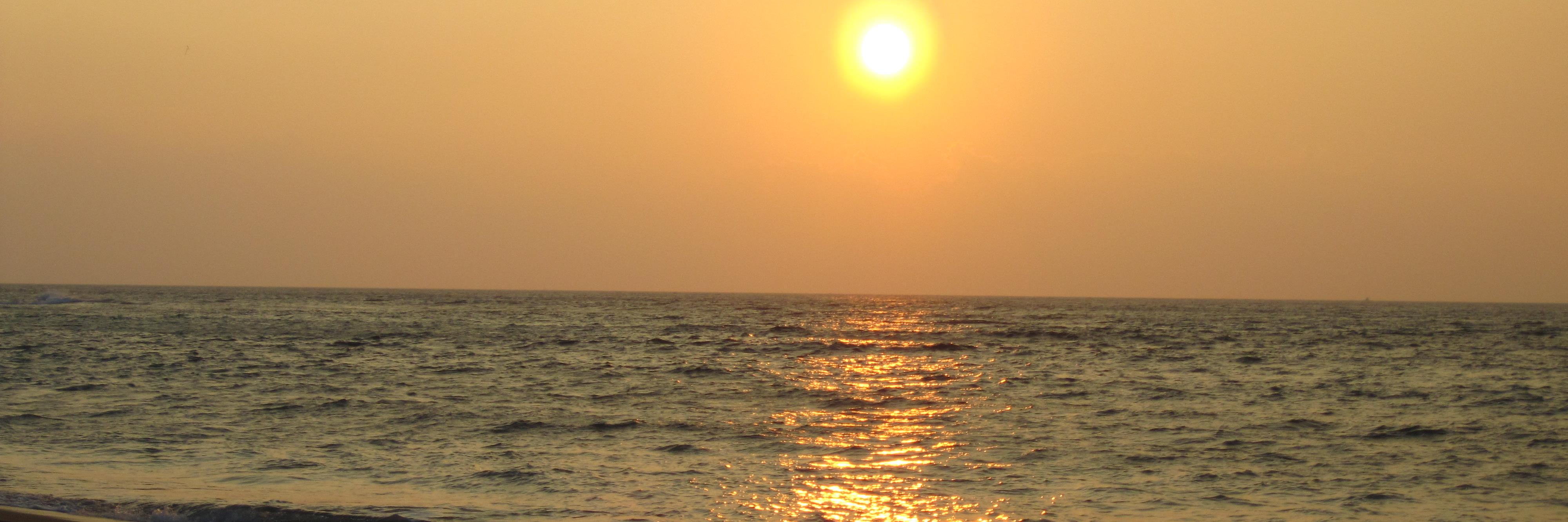 Melony Surrett banner