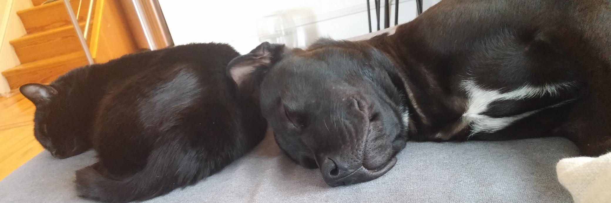 Charles Barfield banner