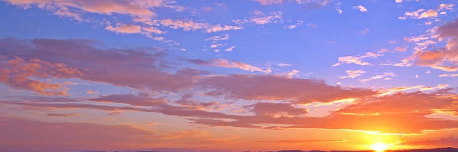 suniszun's profile banner image