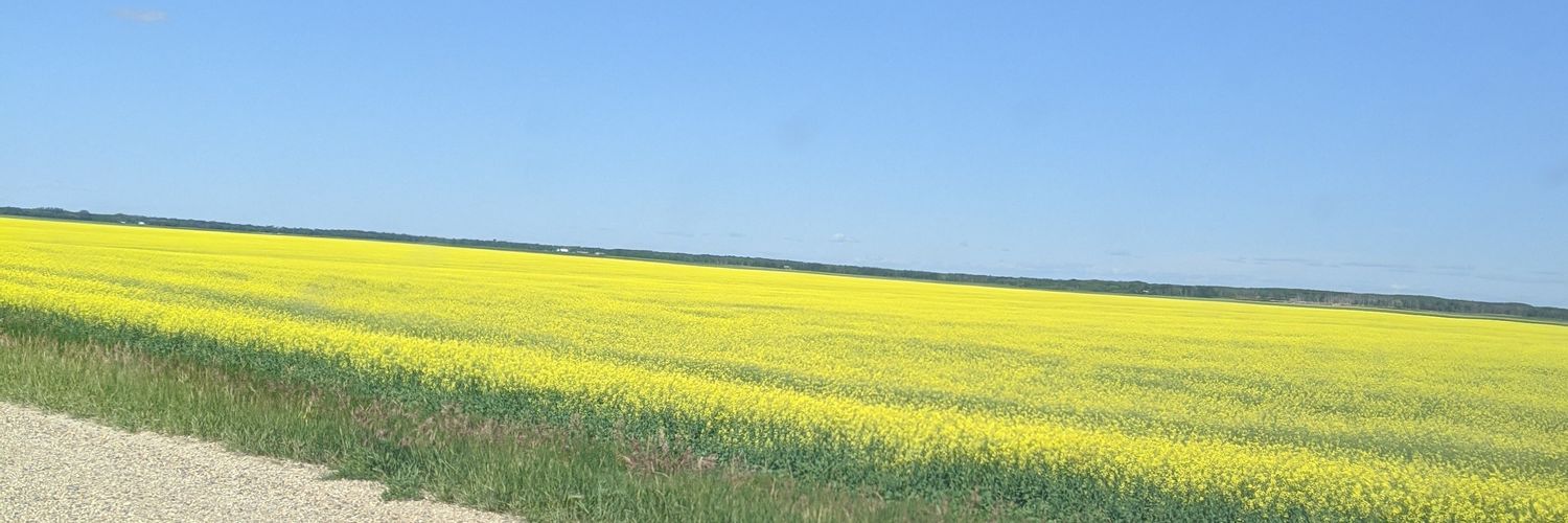 sylvieg16's profile banner image