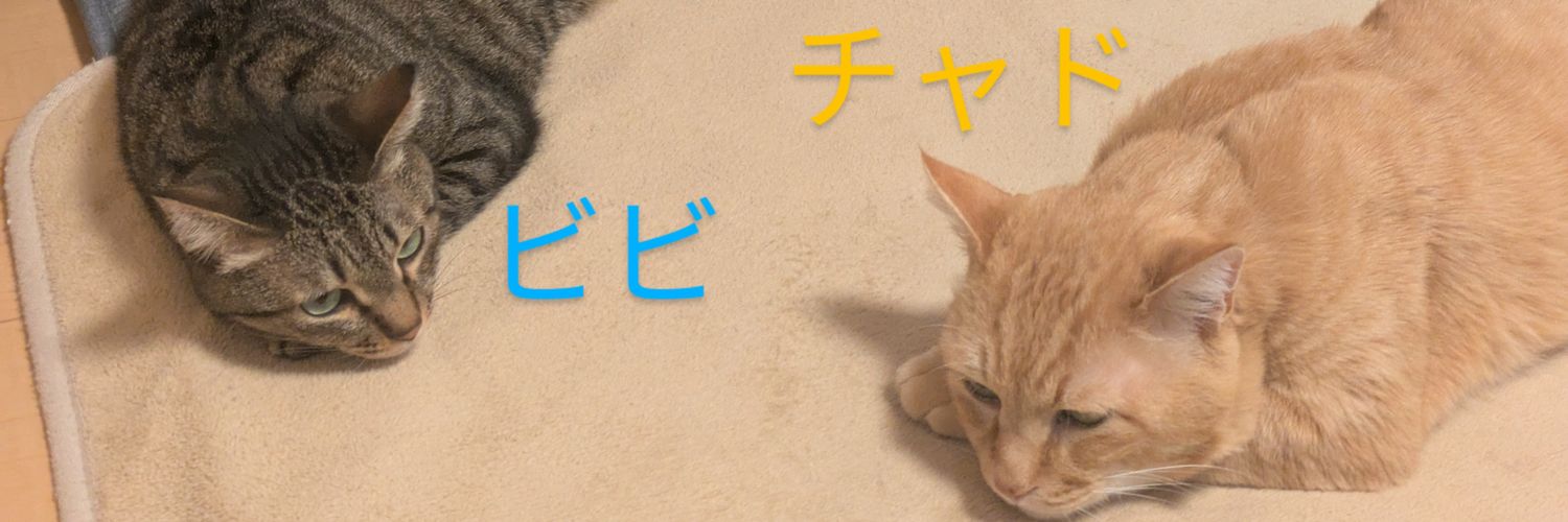 Hakugingetsu's profile banner image