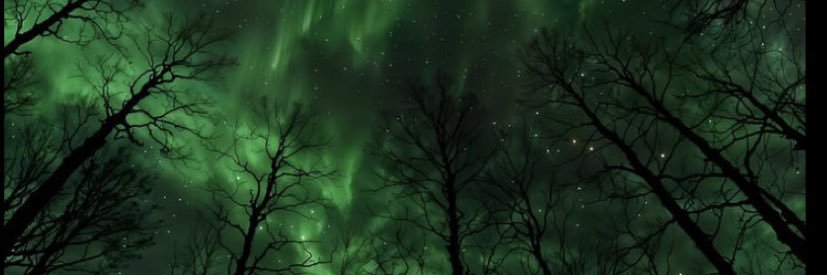 eralexander9999's profile banner image