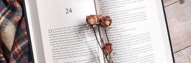 navi_berry's profile banner image