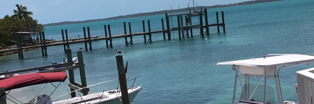 wph1021's profile banner image
