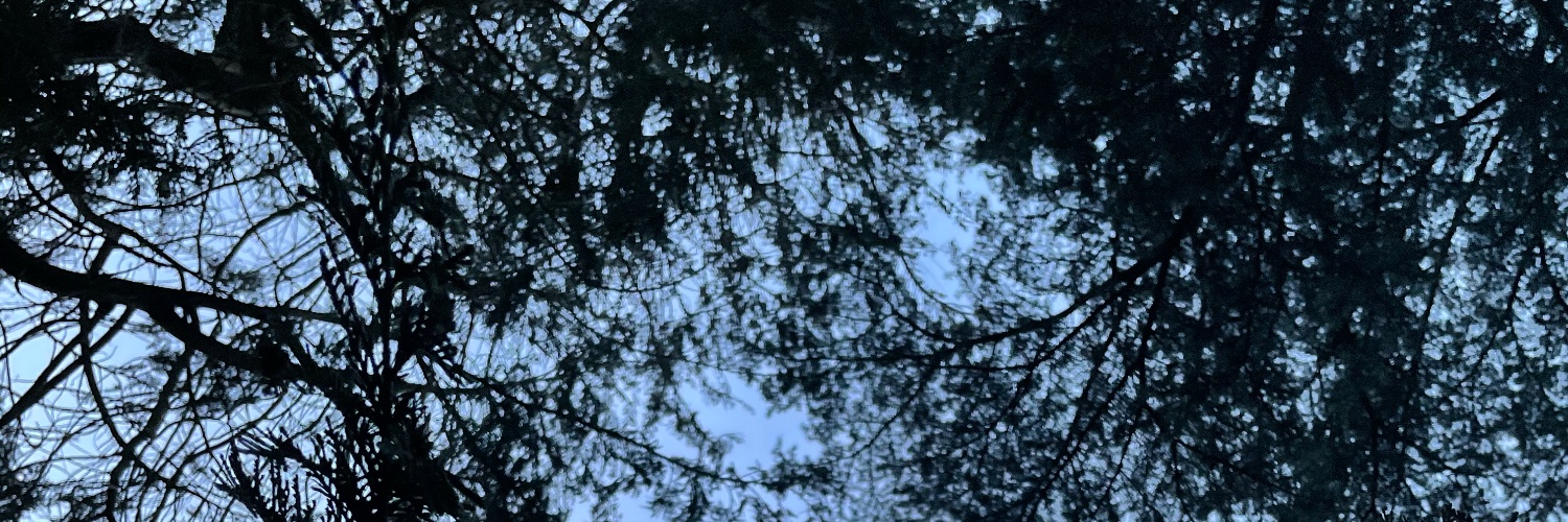 ChessieSharman's profile banner image