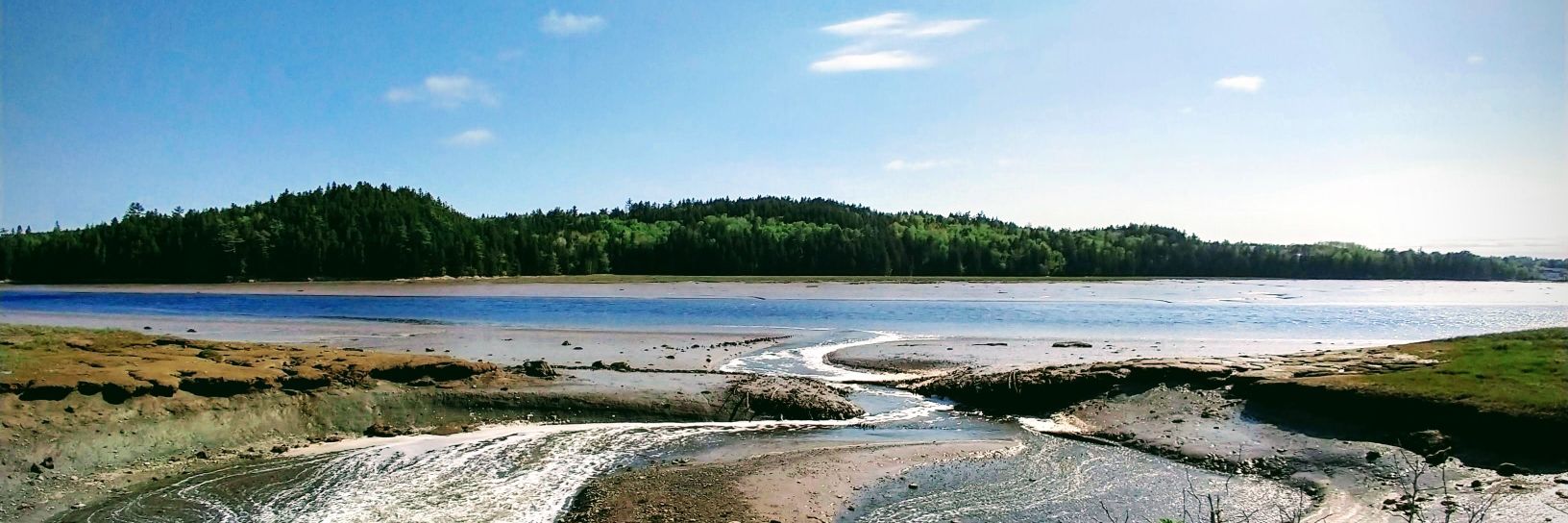 Carolyn Nadeau banner