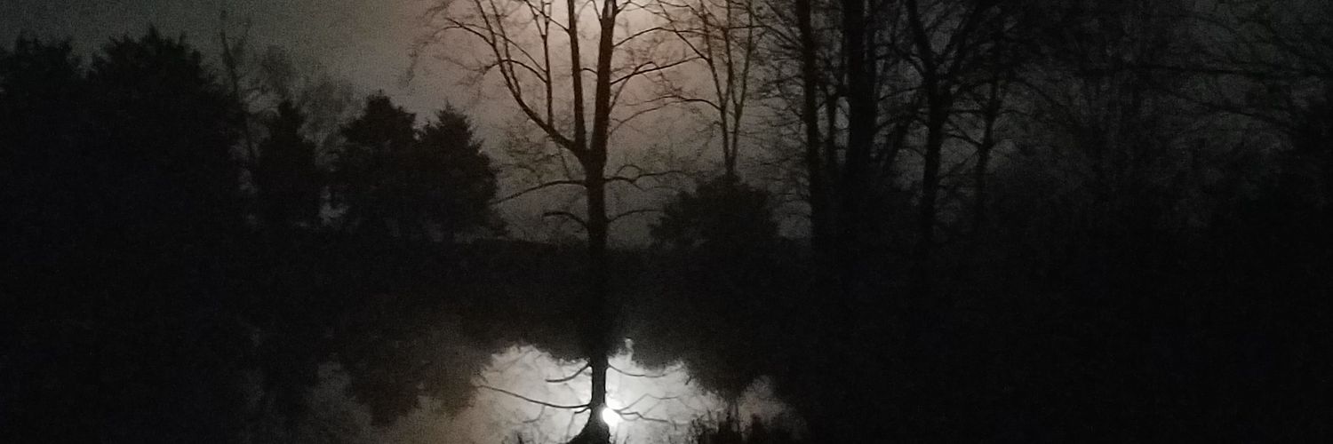 emfish1212's profile banner image