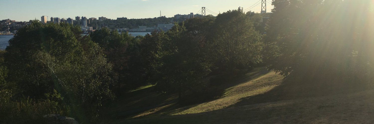 717_902's profile banner image