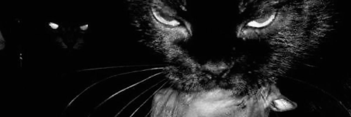 rxmjul's profile banner image
